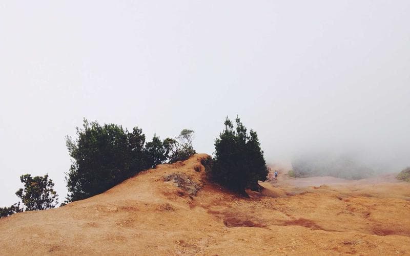 How to File a Small Claims Lawsuit: A Step-by-Step Guide