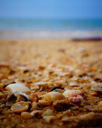 Power of Attorney Form