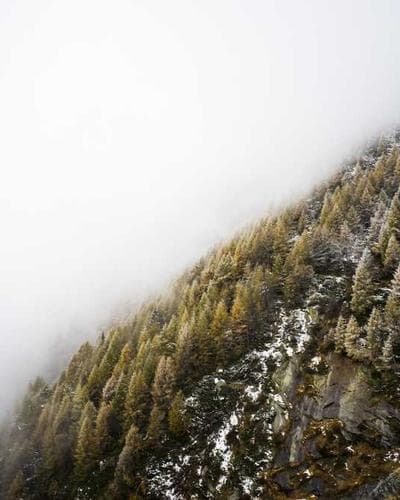 Traffic Ticket Appeal